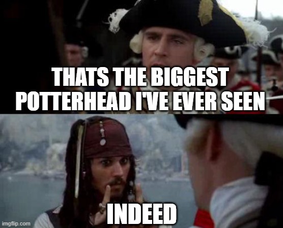 Pirates of the Harry memes | THATS THE BIGGEST POTTERHEAD I'VE EVER SEEN; INDEED | image tagged in jack sparrow you have heard of me | made w/ Imgflip meme maker