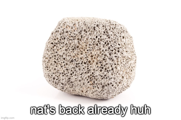 extremely lazy announcement temp | nat's back already huh | image tagged in extremely lazy announcement temp | made w/ Imgflip meme maker