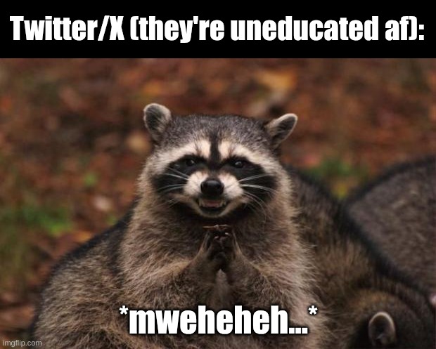 evil genius racoon | Twitter/X (they're uneducated af): *mweheheh...* | image tagged in evil genius racoon | made w/ Imgflip meme maker