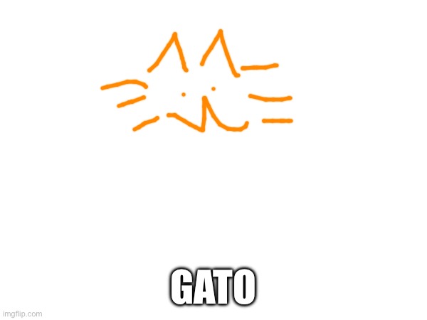 GATO | made w/ Imgflip meme maker