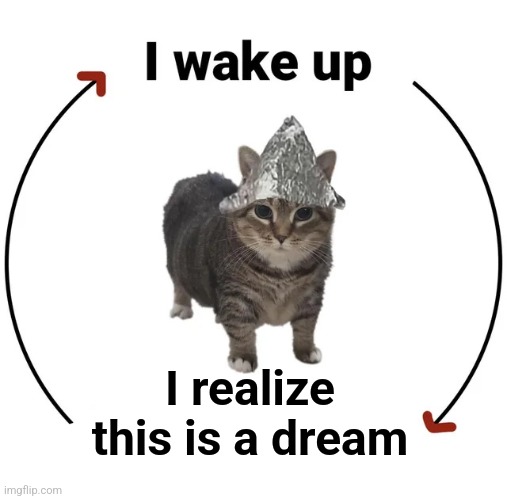 I wake up, there is another psyop | I realize this is a dream | image tagged in i wake up there is another psyop | made w/ Imgflip meme maker