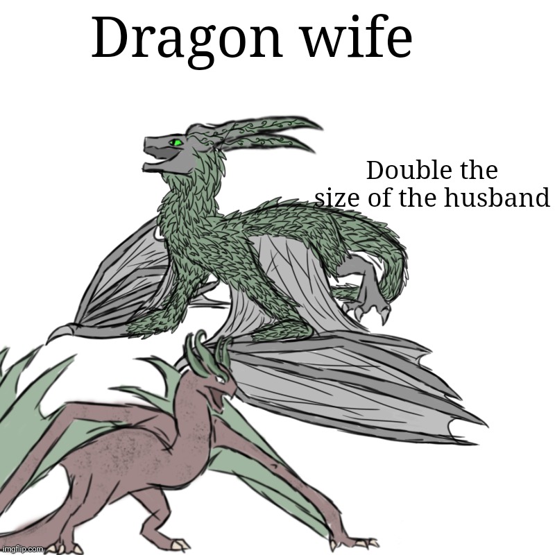 Dagon wife | Dragon wife; Double the size of the husband | made w/ Imgflip meme maker
