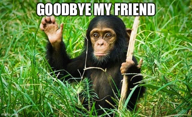 goodbye | GOODBYE MY FRIEND | image tagged in goodbye | made w/ Imgflip meme maker