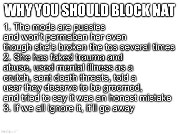 Blank White Template | 1. The mods are pussies and won’t permaban her even though she’s broken the tos several times
2. She has faked trauma and abuse, used mental illness as a crutch, sent death threats, told a user they deserve to be groomed, and tried to say it was an honest mistake
3. If we all ignore it, it’ll go away; WHY YOU SHOULD BLOCK NAT | image tagged in blank white template | made w/ Imgflip meme maker