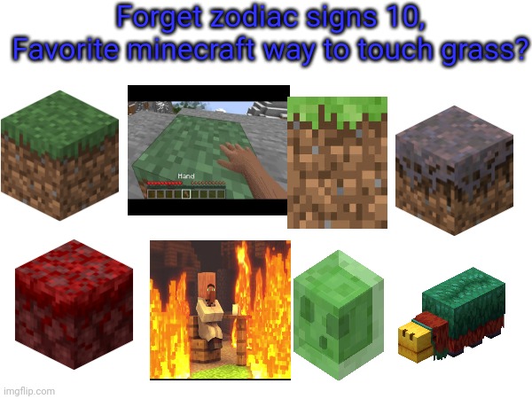 Forget zodiac signs 10, | Forget zodiac signs 10,
Favorite minecraft way to touch grass? | image tagged in zodiac signs | made w/ Imgflip meme maker