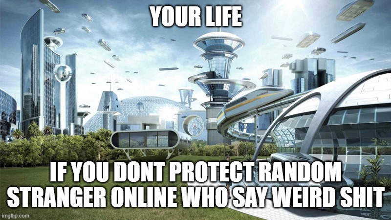 The future world if | YOUR LIFE IF YOU DONT PROTECT RANDOM STRANGER ONLINE WHO SAY WEIRD SHIT | image tagged in the future world if | made w/ Imgflip meme maker