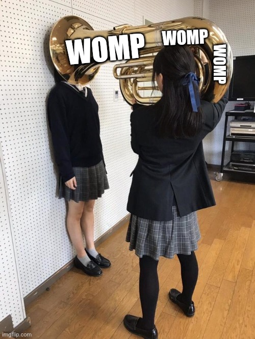 Girl Putting Tuba on Girl's Head | WOMP WOMP WOMP | image tagged in girl putting tuba on girl's head | made w/ Imgflip meme maker