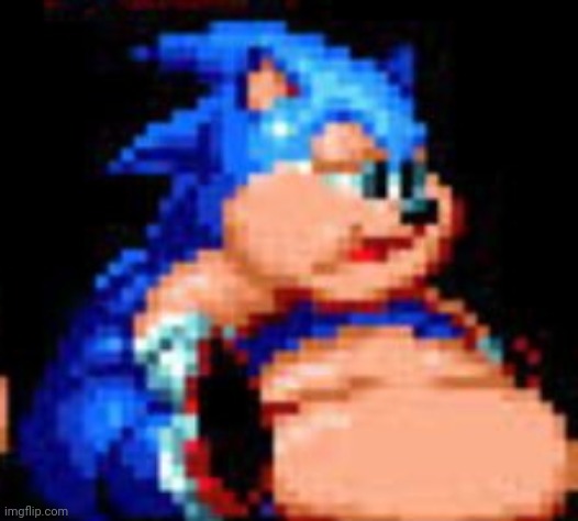 Sonic XL | image tagged in sonic xl | made w/ Imgflip meme maker