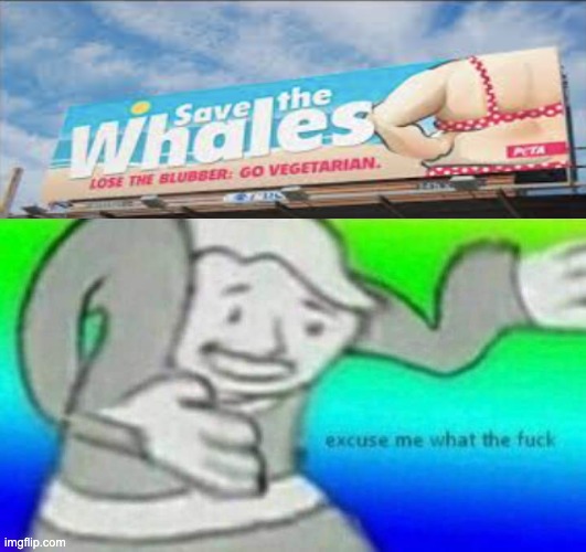 Excuse me PETA what the hell | image tagged in fallout what thy f ck | made w/ Imgflip meme maker