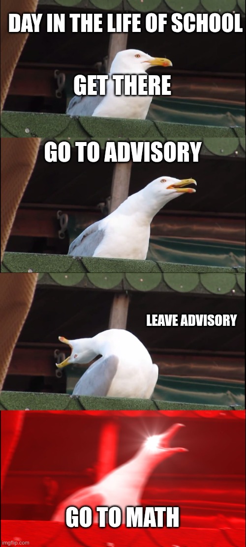 school sucks | DAY IN THE LIFE OF SCHOOL; GET THERE; GO TO ADVISORY; LEAVE ADVISORY; GO TO MATH | image tagged in memes,inhaling seagull | made w/ Imgflip meme maker