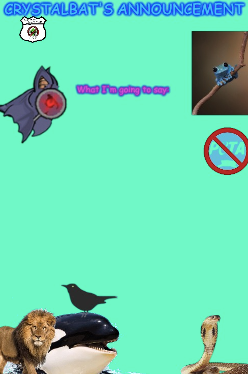 High Quality CrystalBat's Announcement Blank Meme Template