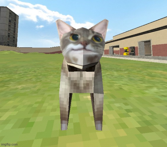 kitr | image tagged in kitr | made w/ Imgflip meme maker
