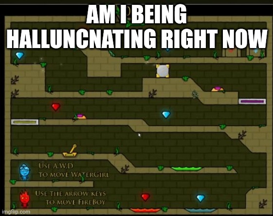 Am i being halluncnating rn | AM I BEING HALLUNCNATING RIGHT NOW | image tagged in help | made w/ Imgflip meme maker