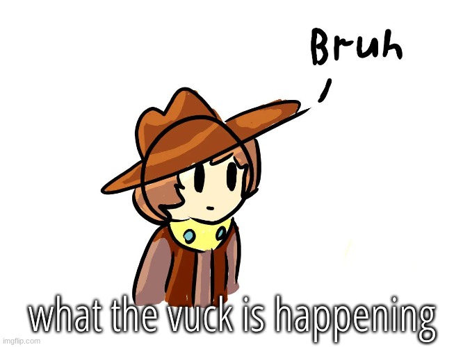 bruh | what the vuck is happening | image tagged in bruh | made w/ Imgflip meme maker