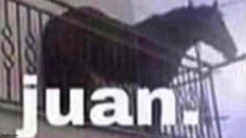 Juan horse | image tagged in juan horse,msmg | made w/ Imgflip meme maker