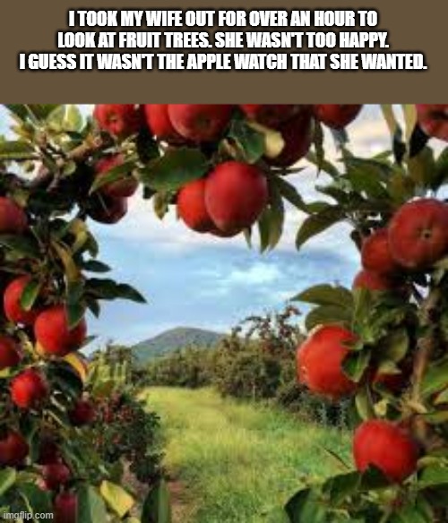 I took my wife on a hike thru fruit trees. She said that isn't the Apple watch she wanted. | I TOOK MY WIFE OUT FOR OVER AN HOUR TO LOOK AT FRUIT TREES. SHE WASN'T TOO HAPPY. I GUESS IT WASN'T THE APPLE WATCH THAT SHE WANTED. | image tagged in funny,fun,apple,watch,humor,play on words | made w/ Imgflip meme maker