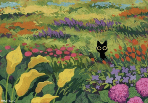 image tagged in gifs | made w/ Imgflip images-to-gif maker