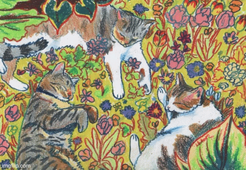 image tagged in gifs | made w/ Imgflip images-to-gif maker