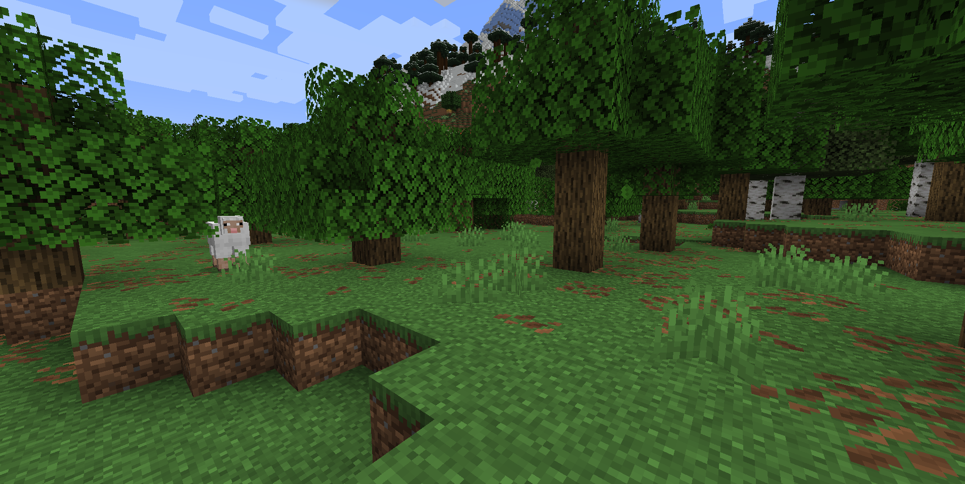 Minecraft Landscape Blank Meme Template