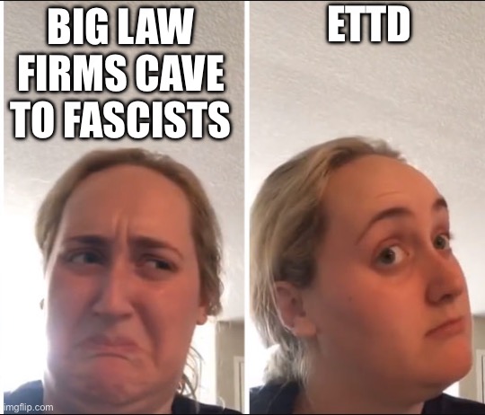 Kombucha Girl | ETTD; BIG LAW FIRMS CAVE TO FASCISTS | image tagged in kombucha girl | made w/ Imgflip meme maker