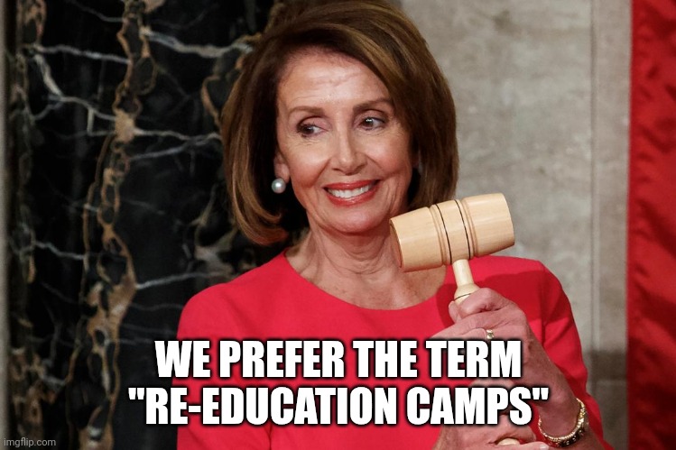 Nancy Pelosi Proud Political Snake | WE PREFER THE TERM "RE-EDUCATION CAMPS" | image tagged in nancy pelosi proud political snake | made w/ Imgflip meme maker