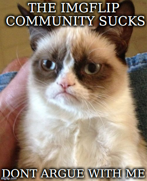 Grumpy Cat Meme | THE IMGFLIP COMMUNITY SUCKS DONT ARGUE WITH ME | image tagged in memes,grumpy cat | made w/ Imgflip meme maker