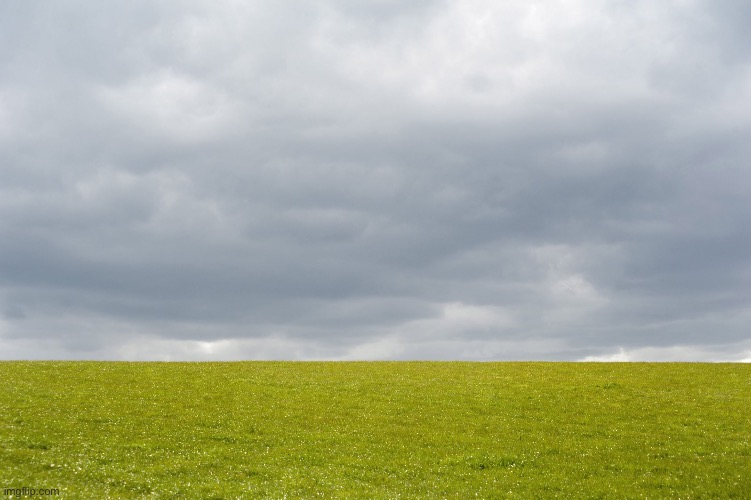 Empty Field | image tagged in empty field | made w/ Imgflip meme maker