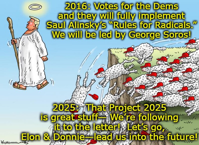 Party of Radicals | 2016: Votes for the Dems and they will fully implement Saul Alinsky’s “Rules for Radicals.” We will be led by George Soros! 2025:  That Project 2025 is great stuff— We’re following it to the letter!  Let’s go, Elon & Donnie—lead us into the future! | image tagged in democrat,left wing,maga,nevertrump meme,donald trump is an idiot,trump memes | made w/ Imgflip meme maker