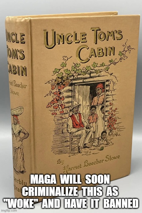 MAGA Values | MAGA  WILL  SOON  CRIMINALIZE  THIS  AS  "WOKE"  AND  HAVE  IT  BANNED | image tagged in maga | made w/ Imgflip meme maker