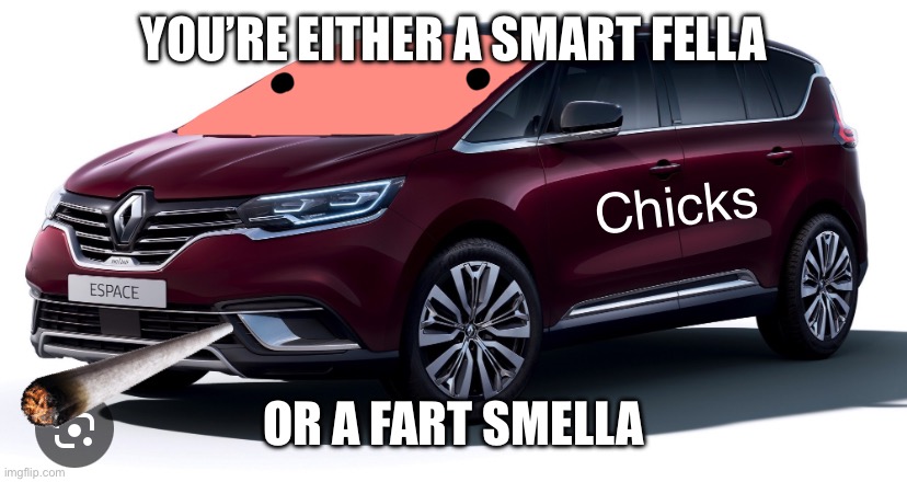 Renault Espace | YOU’RE EITHER A SMART FELLA; OR A FART SMELLA | image tagged in craziness_all_the_way,smoke weed everyday,cars,fart jokes | made w/ Imgflip meme maker