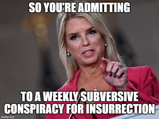 Pam Bondi | SO YOU'RE ADMITTING TO A WEEKLY SUBVERSIVE CONSPIRACY FOR INSURRECTION | image tagged in pam bondi | made w/ Imgflip meme maker
