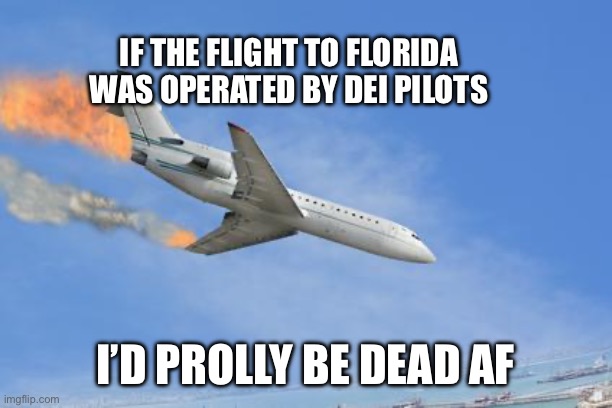 We made it | IF THE FLIGHT TO FLORIDA WAS OPERATED BY DEI PILOTS; I’D PROLLY BE DEAD AF | image tagged in crashing plane | made w/ Imgflip meme maker