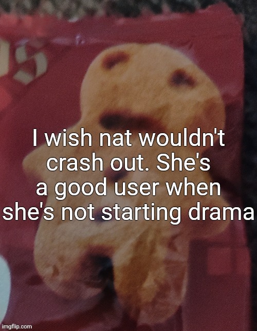 Cookie | I wish nat wouldn't crash out. She's a good user when she's not starting drama | image tagged in cookie | made w/ Imgflip meme maker