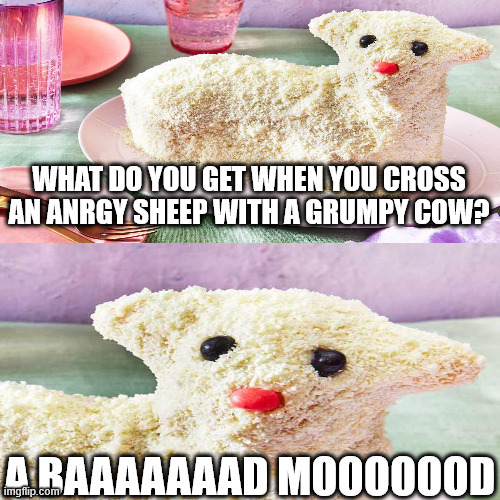 Bad Joke Sheep | WHAT DO YOU GET WHEN YOU CROSS AN ANRGY SHEEP WITH A GRUMPY COW? A BAAAAAAAD MOOOOOOD | image tagged in puns,bad pun,bad puns,sheep,lamb,jokes | made w/ Imgflip meme maker