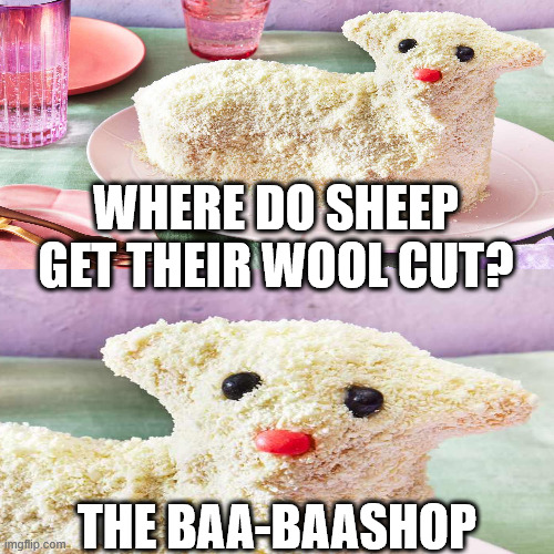 Bad Pun Sheep | WHERE DO SHEEP GET THEIR WOOL CUT? THE BAA-BAASHOP | image tagged in puns,bad puns,jokes,sheep,lamb,dad jokes | made w/ Imgflip meme maker