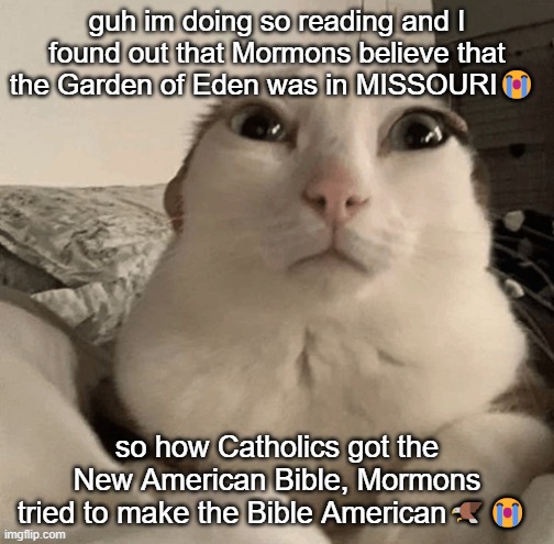 are they like "Those who shun the Lord shall part, from sacred America they'll depart, to Mexico’s flames, their fate aligned" | guh im doing so reading and I found out that Mormons believe that the Garden of Eden was in MISSOURI😭; so how Catholics got the New American Bible, Mormons tried to make the Bible American🦅😭 | image tagged in goober | made w/ Imgflip meme maker