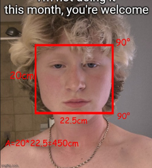 90°; 20cm; 90°; 22.5cm; A=20*22.5=450cm | made w/ Imgflip meme maker