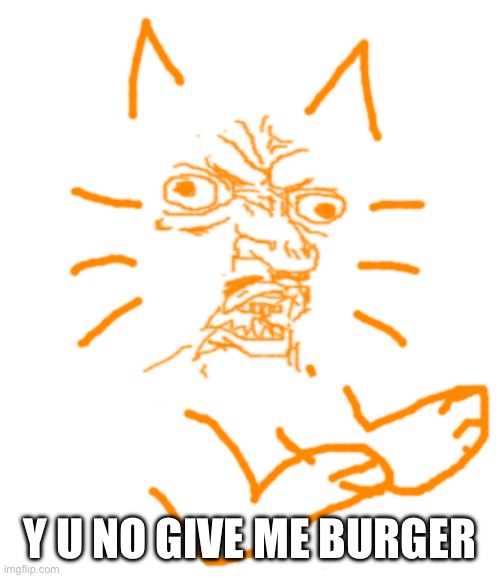 Y U No burger cat | Y U NO GIVE ME BURGER | image tagged in y u no burger cat | made w/ Imgflip meme maker