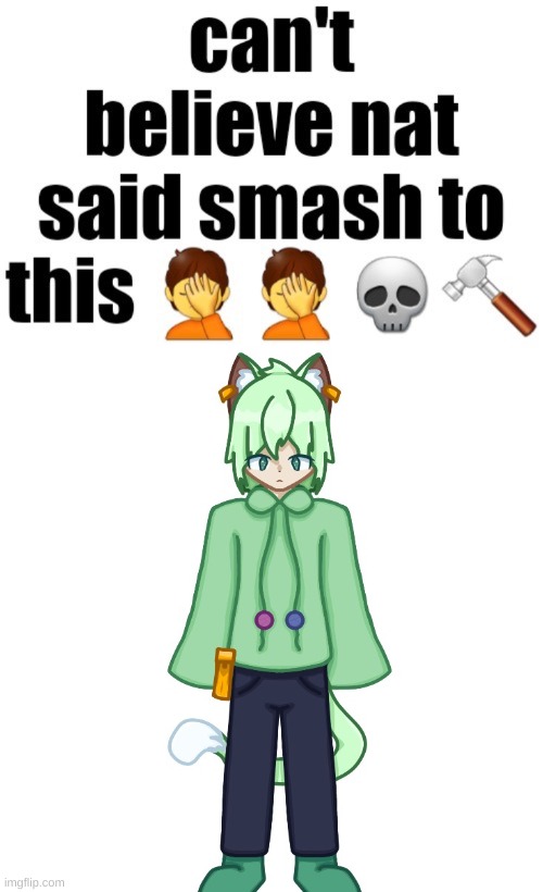 Can’t believe nat said smash to this | image tagged in can t believe nat said smash to this | made w/ Imgflip meme maker