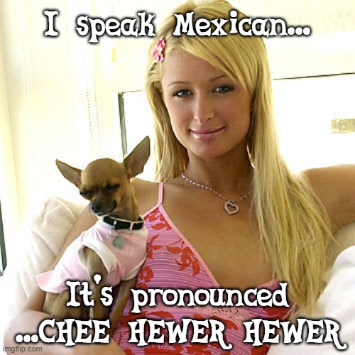 Paris Hilton chihuahua cheehewerhewer | I speak Mexican... It's pronounced ...CHEE HEWER HEWER | image tagged in paris hilton | made w/ Imgflip meme maker