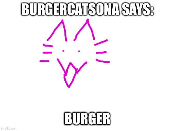BURGERCATSONA SAYS:; BURGER | made w/ Imgflip meme maker