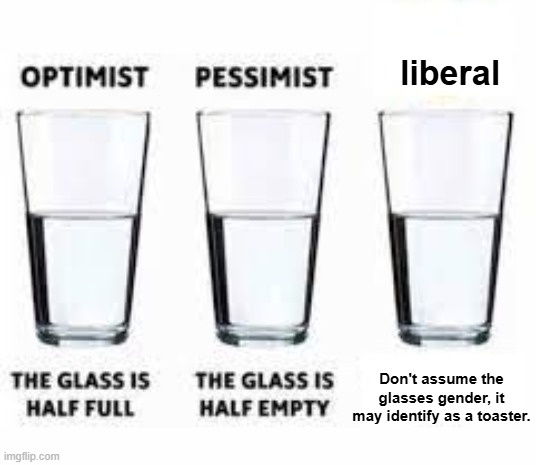 The glass has feelings too! | liberal; Don't assume the glasses gender, it may identify as a toaster. | image tagged in half glass water | made w/ Imgflip meme maker