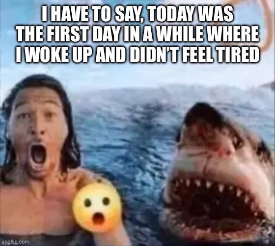 Shark | I HAVE TO SAY, TODAY WAS THE FIRST DAY IN A WHILE WHERE I WOKE UP AND DIDN’T FEEL TIRED | image tagged in shark | made w/ Imgflip meme maker