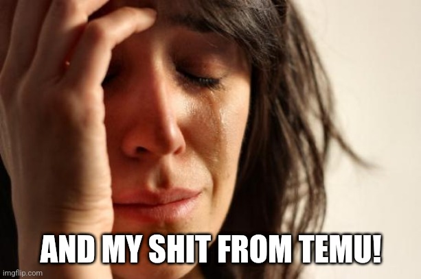 First World Problems Meme | AND MY SHIT FROM TEMU! | image tagged in memes,first world problems | made w/ Imgflip meme maker