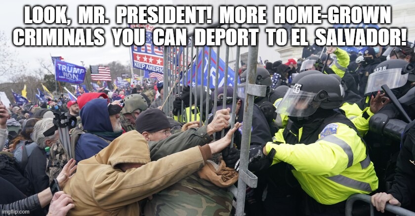 Home-Grown Exports | LOOK,  MR.  PRESIDENT!  MORE  HOME-GROWN  CRIMINALS  YOU  CAN  DEPORT  TO EL  SALVADOR! | image tagged in deportation | made w/ Imgflip meme maker