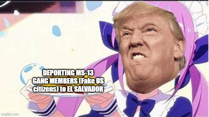 Trump deports 238 ‘gang members’ to El Salvador: What’s the controversy? (AlJazeera, 17/3/25) | DEPORTING MS-13 GANG MEMBERS (Fake US citizens) to EL SALVADOR | image tagged in minato aqua holding a plate,memes,donald trump,republicans | made w/ Imgflip meme maker