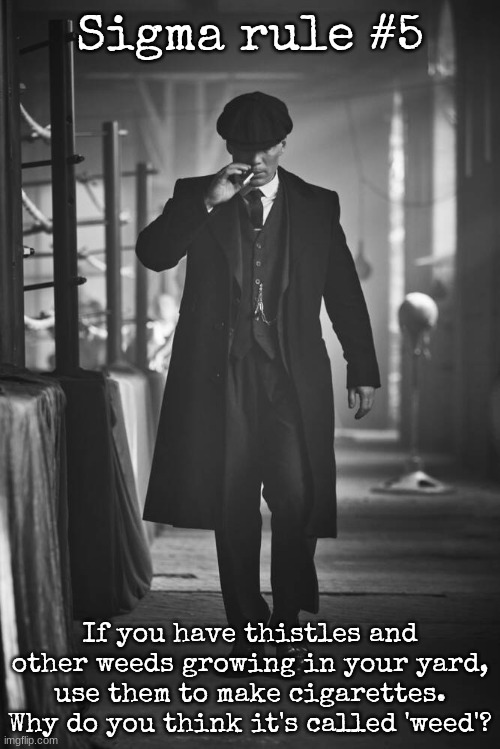 Peaky Blinders | Sigma rule #5; If you have thistles and other weeds growing in your yard, use them to make cigarettes. Why do you think it's called 'weed'? | image tagged in peaky blinders | made w/ Imgflip meme maker
