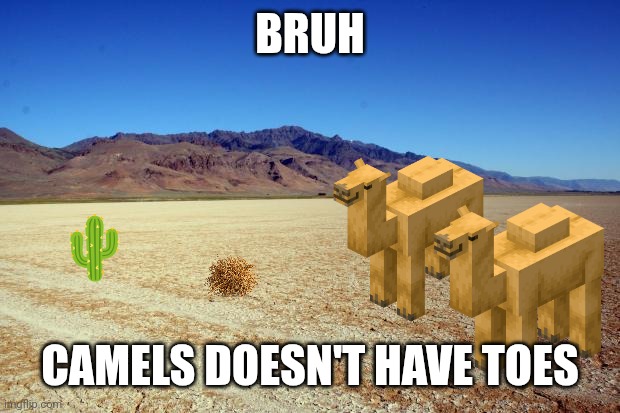 Desert Large dry | BRUH CAMELS DOESN'T HAVE TOES ? | image tagged in desert large dry | made w/ Imgflip meme maker