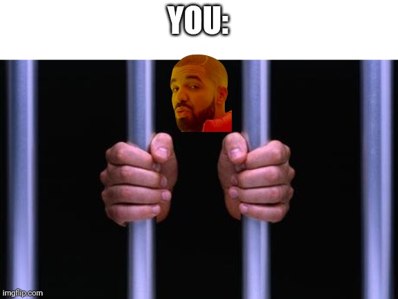 Prison Bars | YOU: | image tagged in prison bars | made w/ Imgflip meme maker