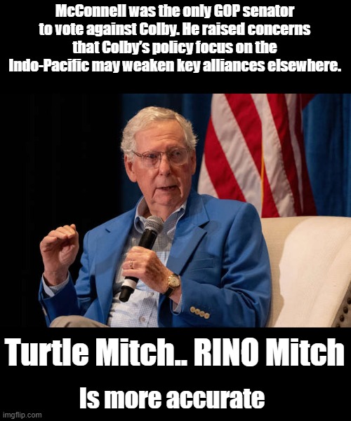 MUST PROTECT CHINA | McConnell was the only GOP senator to vote against Colby. He raised concerns that Colby’s policy focus on the Indo-Pacific may weaken key alliances elsewhere. Turtle Mitch.. RINO Mitch; Is more accurate | made w/ Imgflip meme maker